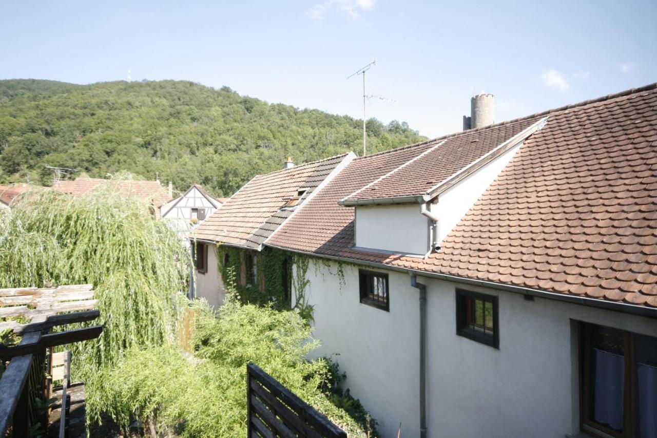 Appartement Le Keiler Kaysersberg-Vignoble Bagian luar foto