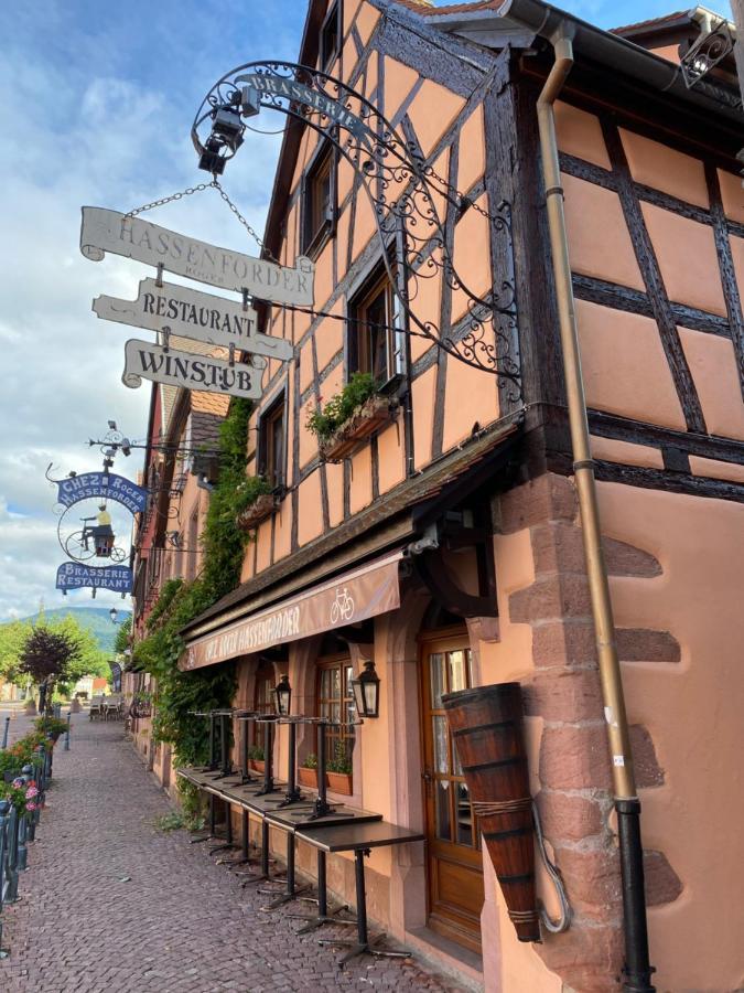 Appartement Le Keiler Kaysersberg-Vignoble Bagian luar foto